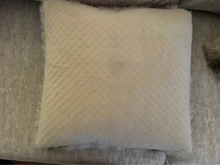 Chinchilla Fur Pillow 2