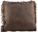 Wyoming 3 Concho Pillow 1