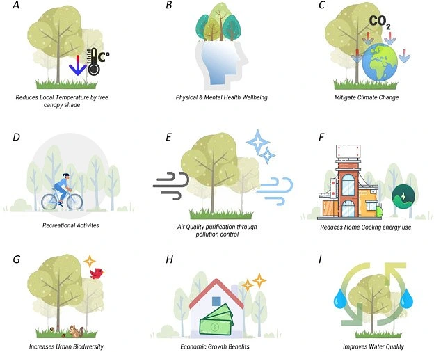 9-urban-tree-benefits-grid