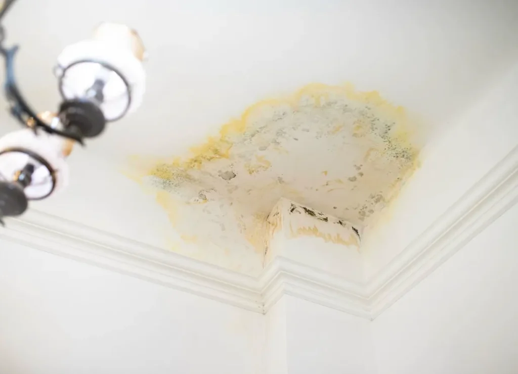 Ceiling water damage signs