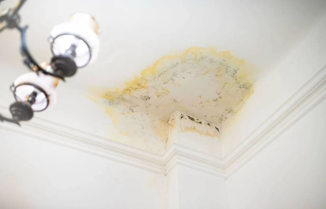 Ceiling water damage signs