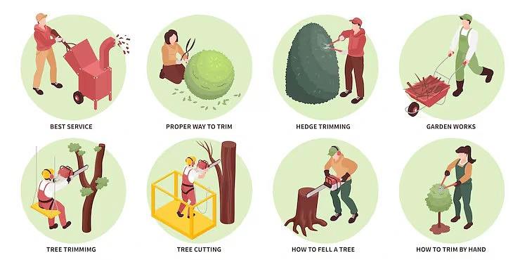 tree-service-illustrations