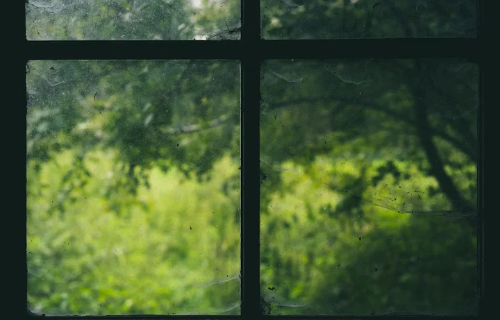 Protect Your Home From Heat With Better Windows