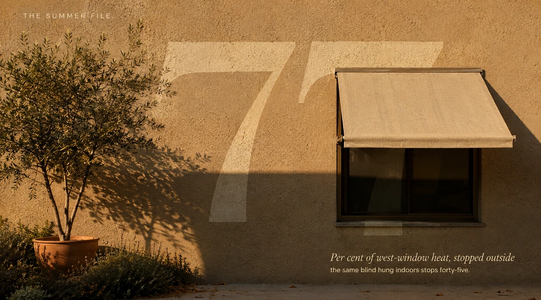 A sunlit stucco wall with a large painted numeral 77, a shaded window beneath an awning, and an olive tree breaking the numeral's edge