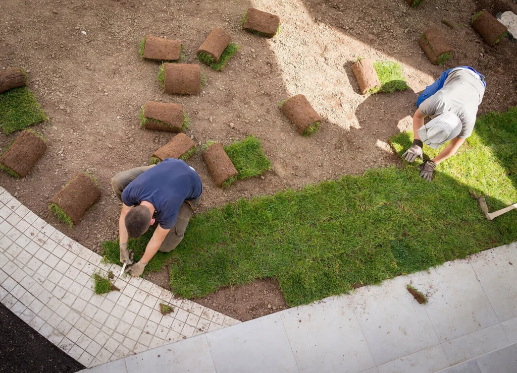 soil preparation before laying sod